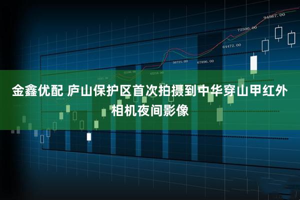 金鑫优配 庐山保护区首次拍摄到中华穿山甲红外相机夜间影像