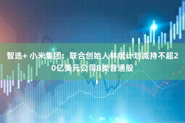 智选+ 小米集团：联合创始人林斌计划减持不超20亿美元公司B类普通股